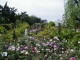 img0016.jpg