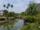 img0018.jpg