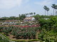img0020.jpg