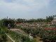 img0021.jpg