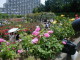 img0024.jpg