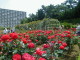 img0025.jpg