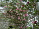 img0026.jpg