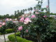 img0027.jpg
