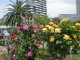 img0029.jpg