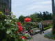img0030.jpg