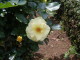 img0032.jpg