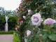 img0033.jpg