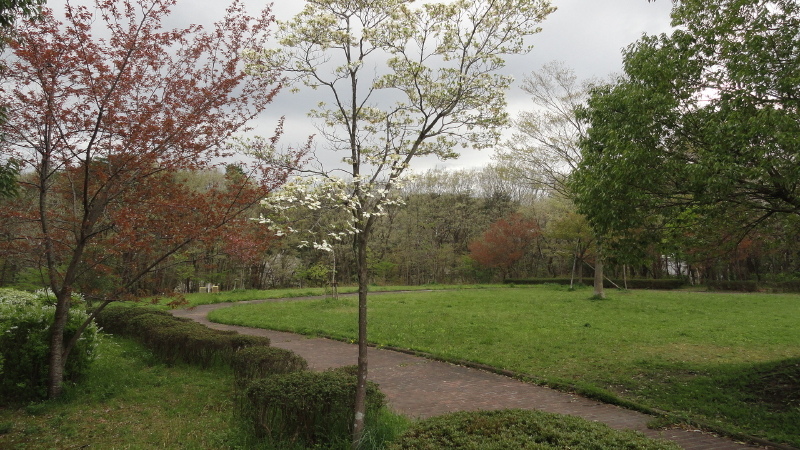 img0003.jpg