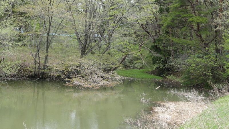 img0013.jpg
