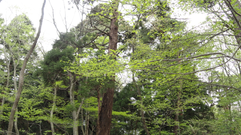 img0015.jpg
