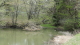 img0013.jpg