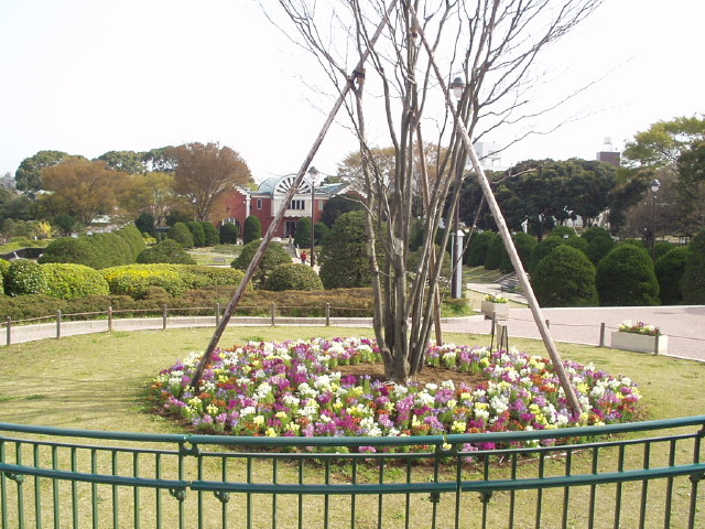 img0001.jpg
