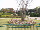 img0001.jpg