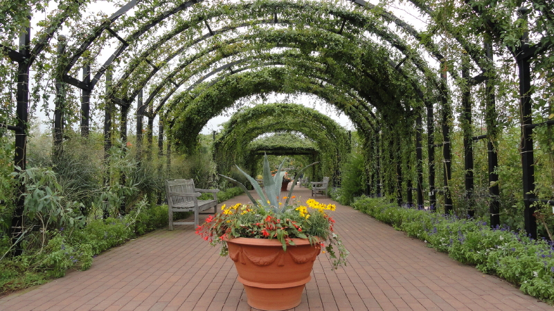img0004.jpg