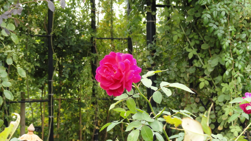 img0014.jpg