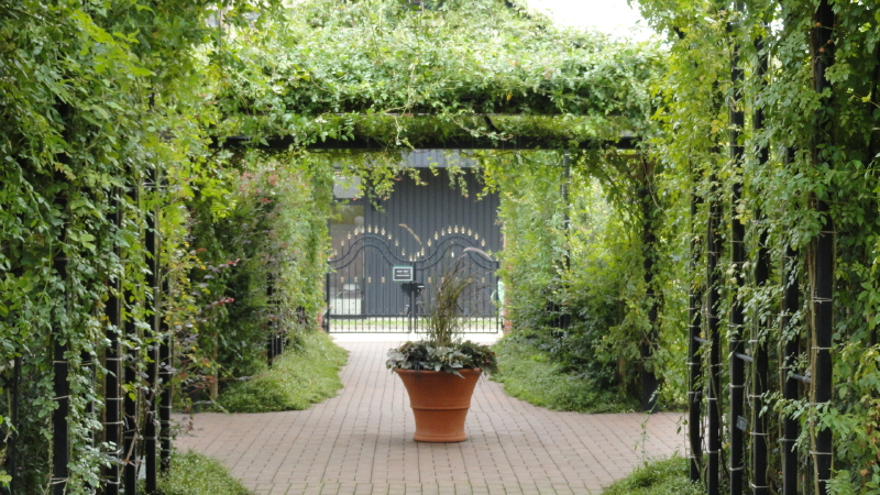 img0015.jpg
