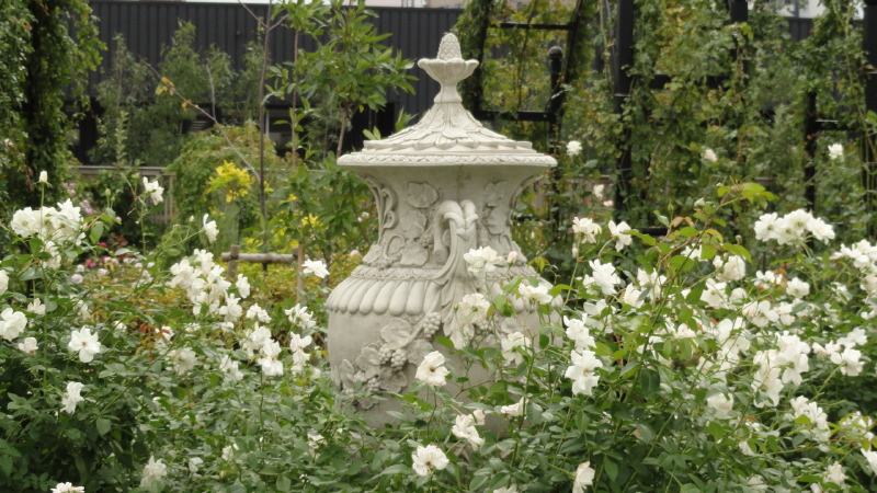 img0019.jpg