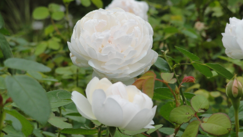 img0023.jpg