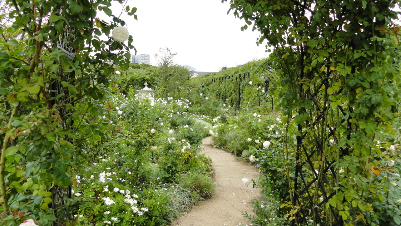 img0026.jpg