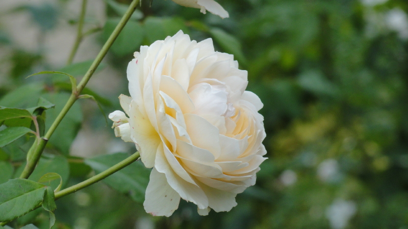 img0028.jpg