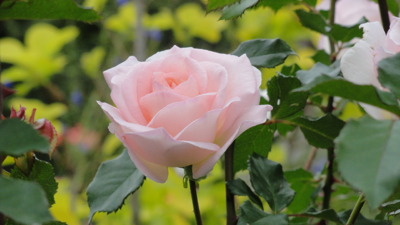 img0032.jpg