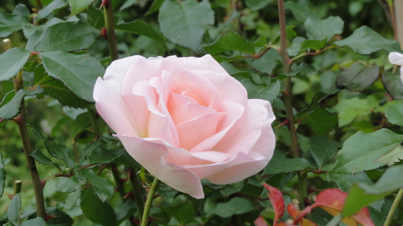 img0033.jpg