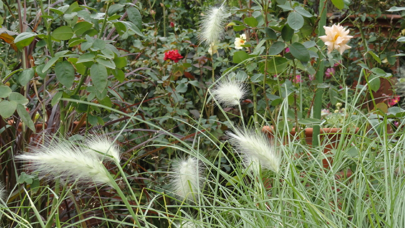 img0042.jpg