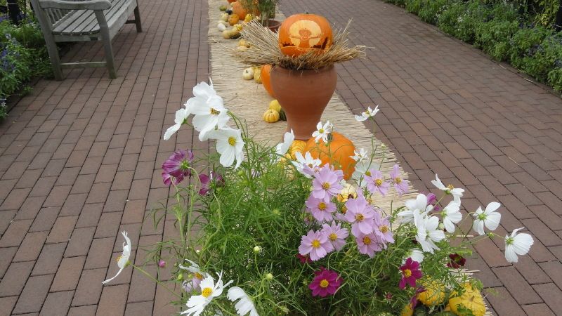img0045.jpg
