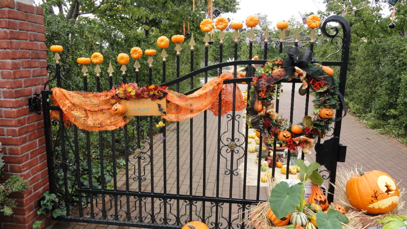 img0047.jpg