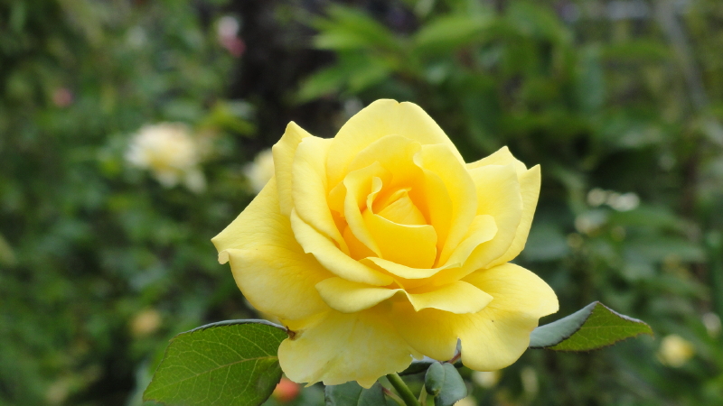 img0054.jpg