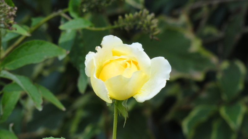 img0057.jpg