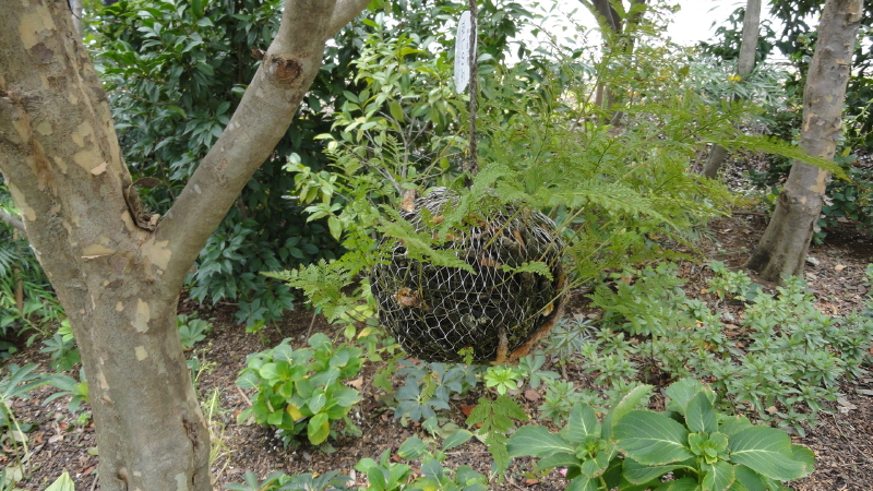 img0061.jpg