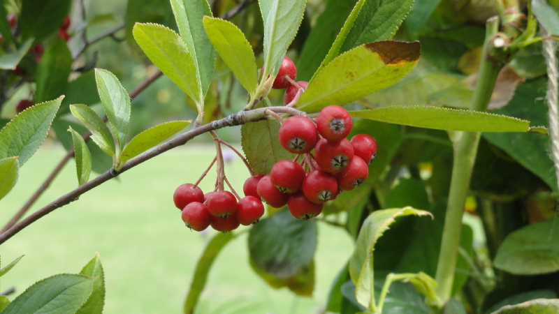 img0062.jpg