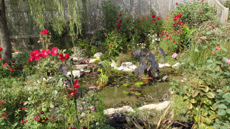 img0065.jpg