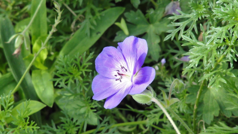 img0070.jpg
