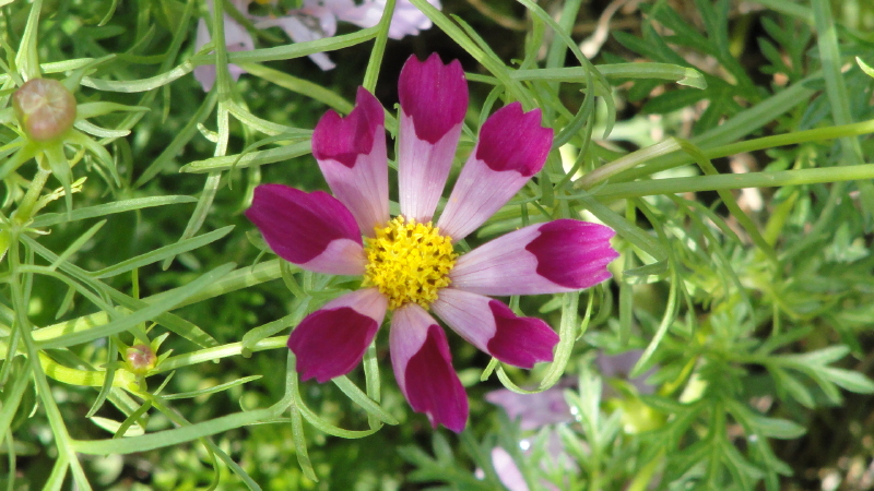 img0073.jpg