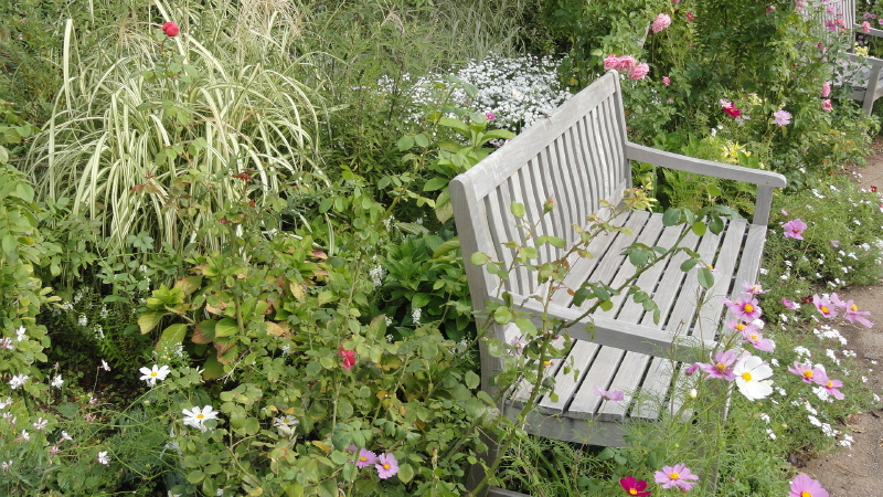 img0077.jpg