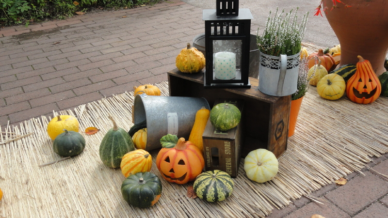 img0080.jpg