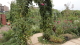 img0008.jpg
