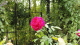img0014.jpg