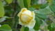 img0018.jpg