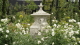 img0019.jpg