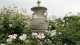 img0020.jpg