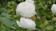 img0023.jpg