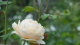 img0027.jpg