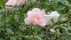 img0030.jpg