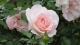 img0031.jpg