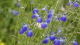 img0039.jpg
