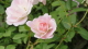 img0040.jpg